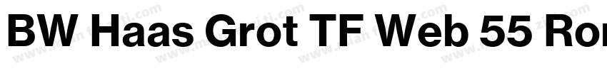 BW Haas Grot TF Web 55 Roman字体转换